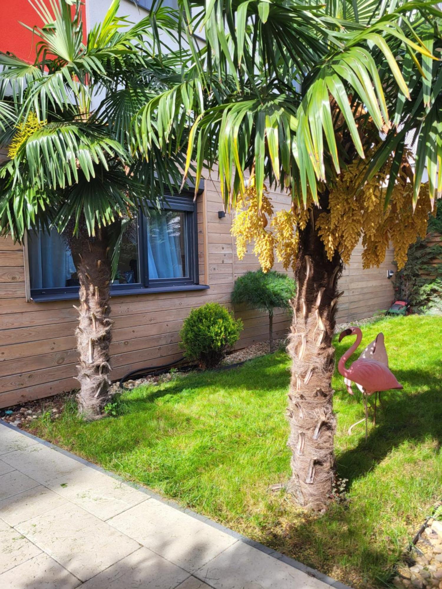 Sika Garden Apartment Arad Extérieur photo